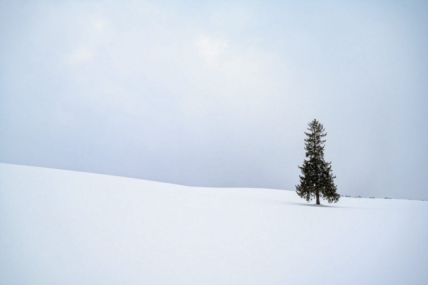北海道冬日景色，雪地、樹影與冰封水面（第 5 張）
