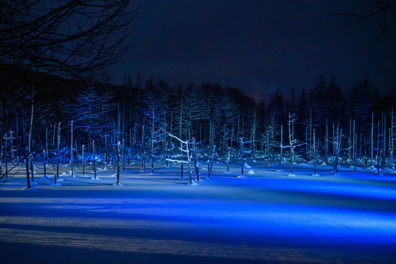北海道冬日景色，雪地、樹影與冰封水面（第 6 張）
