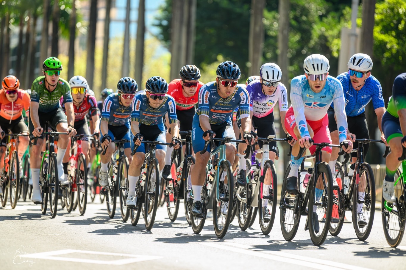 2026 Tour de Taiwan 國際自由車環臺公路大賽｜臺北站 — 第 6 張照片